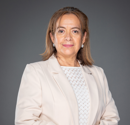 Graciela Álvarez Condo