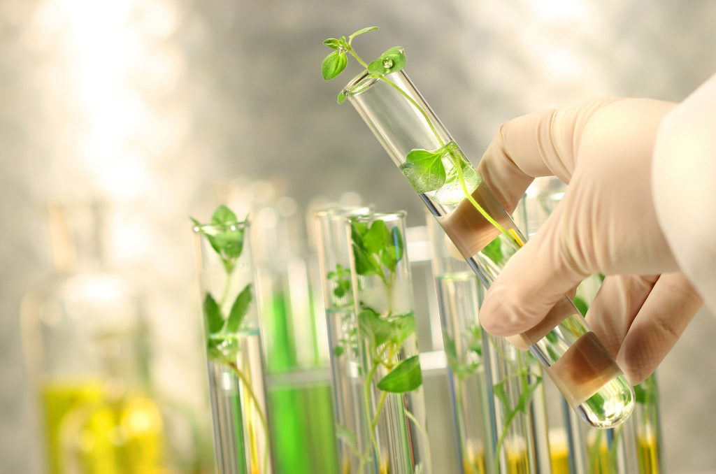 Biotecnología